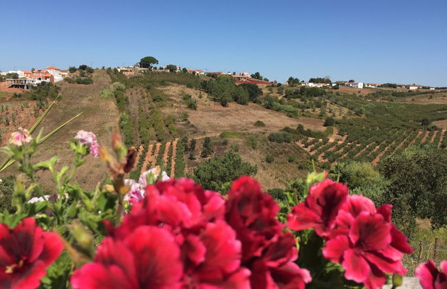 Terra Luso - Foto 45