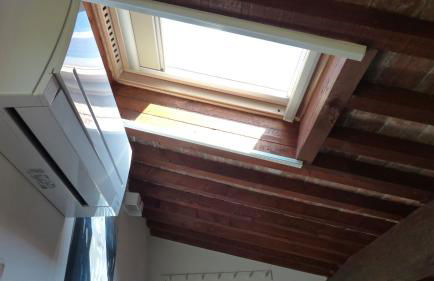 I Pesci nel golfo di Baratti - Foto 19