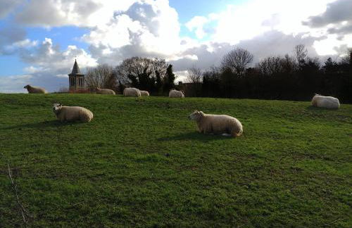 Maison de vacances 3 chambres à 400 m de la plage Kairon - Saint Pair sur mer - Foto 33