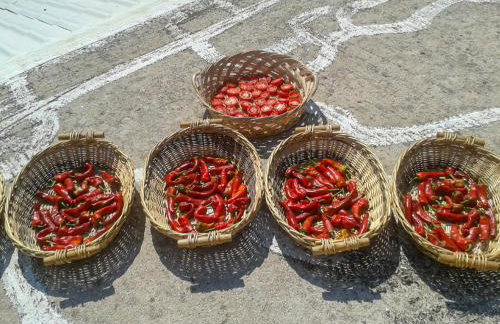 Aroggia Farm - Foto 76