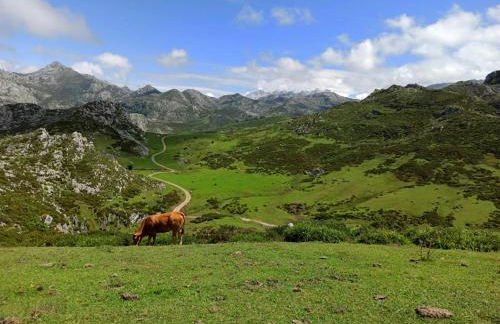 Casa Marian - Foto 79