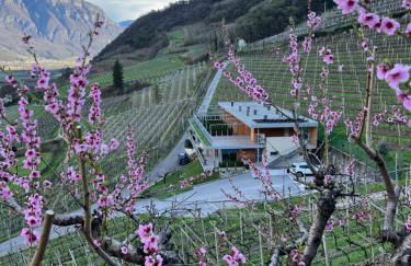 Agritur Gasadòr - Foto 16