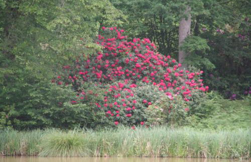 Château Le Brun - Loire Valley and vineyards - Foto 16