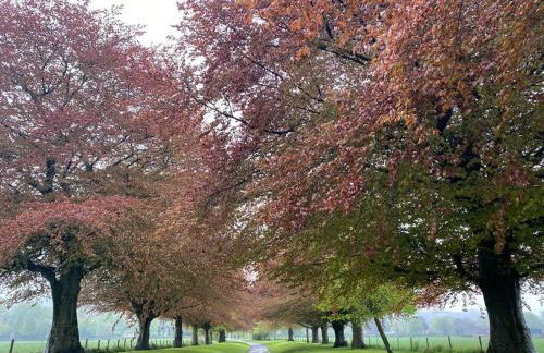 Kings Cottage - Heart of the Deverills - EV Point - Foto 38