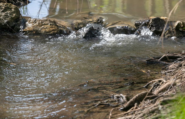 Robinzonski Kamp Hofman - Foto 42