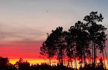 Yuccasa - Small Glamping Camping & Studio's - Photo 70