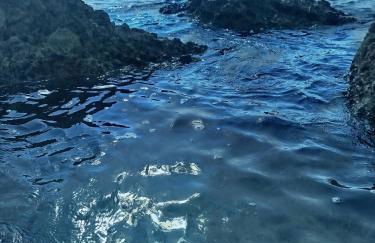 DANTE Apartments - Foto 10