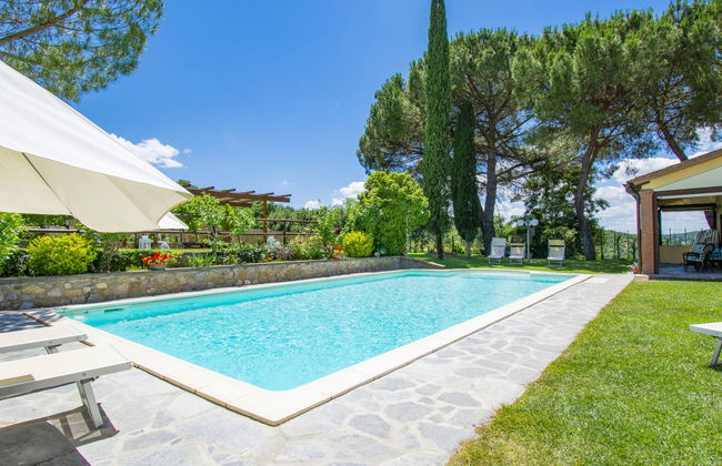 Cedri Alti - Foto 18