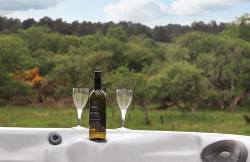 Pine Marten - Foto 35