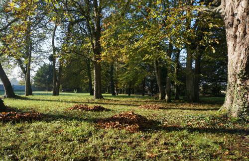 Domaine du Moulin à Vent - Gîte & SPA - Foto 31