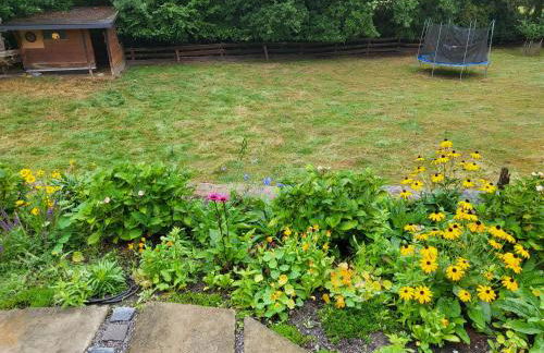 Souterrainwohnung im Grünen - Foto 39