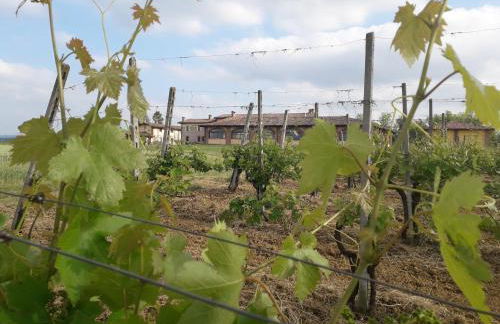 Agriturismo AMA - Photo 10