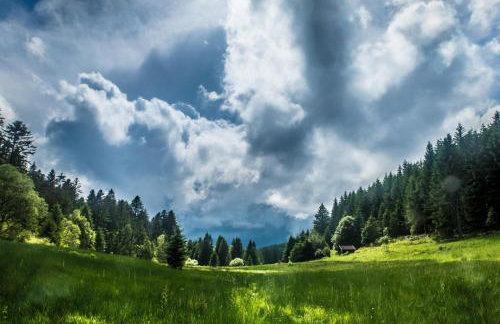 LE QUARTZ DES HAUTES-VOSGES - Foto 26