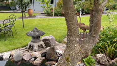 Ferienwohnung am Pferdemarkt - Photo 4