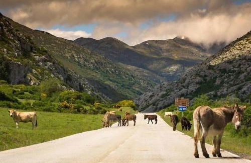 Paraíso Desconocido 1. Pura Magia - Foto 27