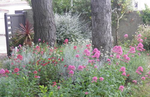 Les Fleurs De Lys, Villa Chic L'enclos Des Lys, Proche de la Mer - Foto 30