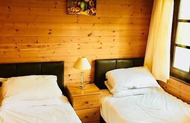 Goldcrest 3 Hot Tub - Foto 5