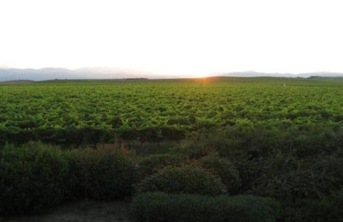 Appartement 8 pers. - Domaine de Padulone ALERIA - Foto 7