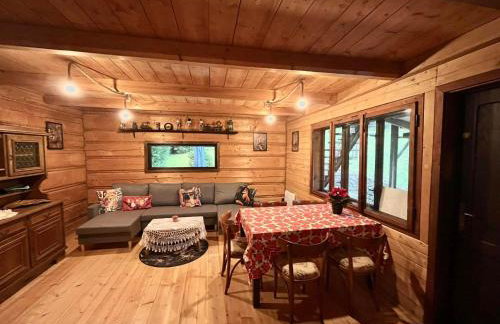 Chata pod lasem z balią i sauną - Foto 25