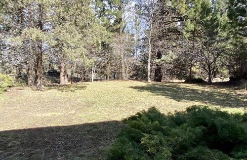 Hollinshead Haven Home with BBQ & Free Wifi - 30 days min home - Photo 17