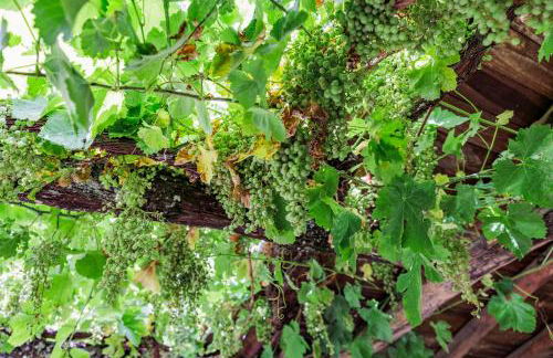 Casa Rural en Galaroza - Foto 45