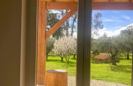 Casa Ar da Beira - Serra da Estrela - Belmonte - Foto 31