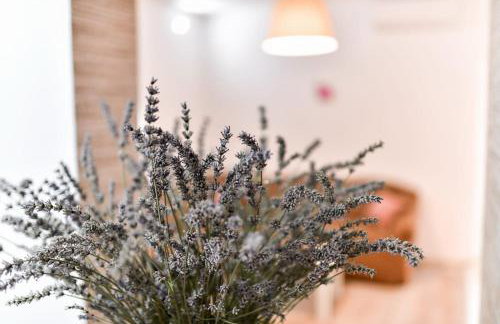 Holiday spa house Strenja - Foto 38