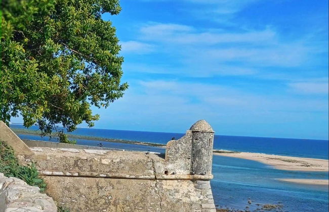 Day Trip to Faro, Olhão, & Tavira - Photo 4