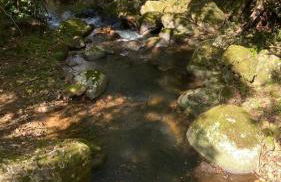 Chalé Aconchegante, Paz e Natureza - Foto 39