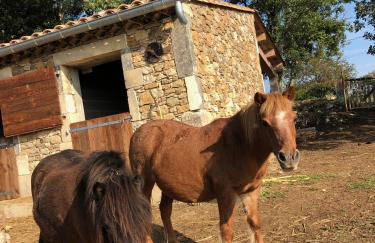 Domaine de l'Astic - Foto 42