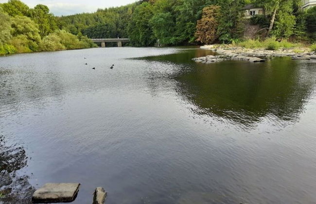 Holiday Home in the Rosbachtal - Foto 23