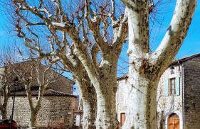 Mas Ardechois proche Vallon pont d'arc - Photo 10