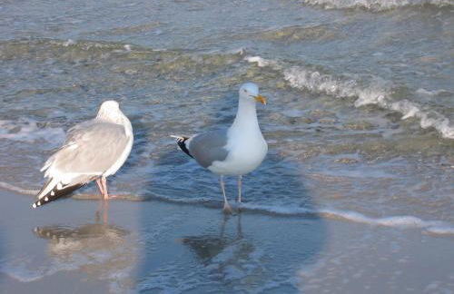Ferienwohnung Sonnenschein - Foto 12