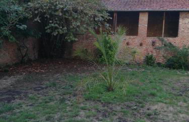 Sweet garden - Foto 8