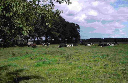 De ole Spieker - Foto 9