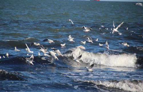 FeHa Ankerplatz - Foto 31