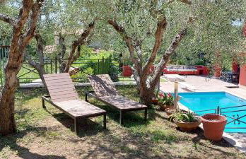 IL CICLAMINO POOL FOR YOUR SOLE USE BIG IN-GROUND - 70m2 house & 300m2 outdoor, child & pet friendly, 10 minutes drive to Montebello Station connecting to Rome centre in 20 minutes, 3 minutes drive to supermarket -4 language warm guest care - Foto 27