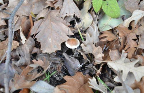 Casa Martino - Foto 77