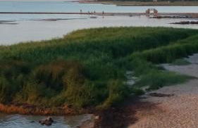 Ferienwohnung Stein - Foto 24