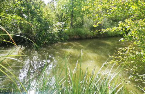 Naturaleza-Gîte les Cèdres - Foto 14