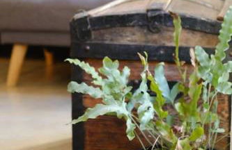 Charmant duplex sous le château au coeur de Seix - Foto 28