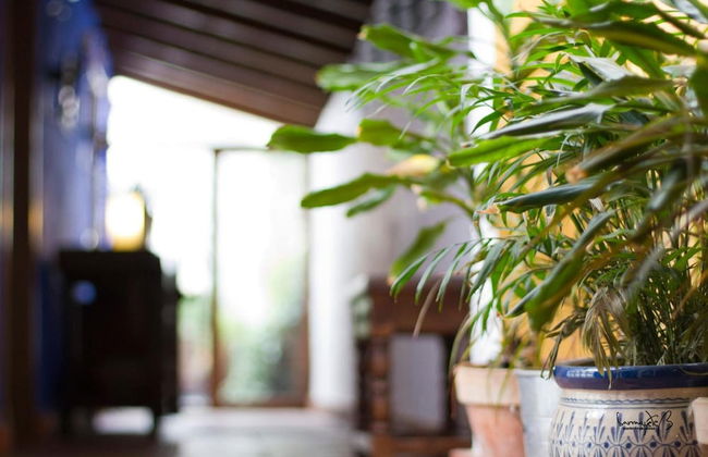 Hotel Rural la Casona del Abuelo Parra - Foto 36