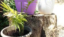 Lily Home_Lefkada ~ Private Country house - Foto 4