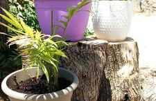 Lily Home_Lefkada ~ Private Country house - Foto 4