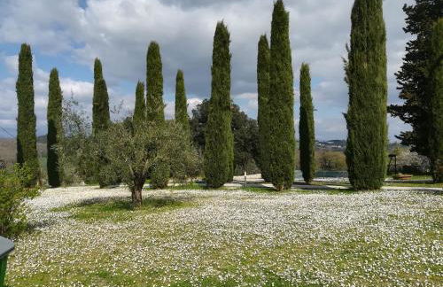 Agriturismo La Scarpaia - Foto 25