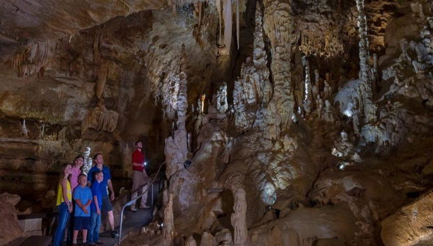 Natural Bridge Caverns Discovery Tour - Foto 4