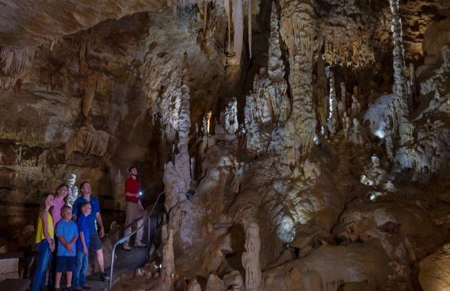 Natural Bridge Caverns Discovery Tour - Foto 4