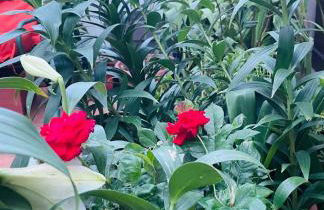 Figueres Center - Foto 45