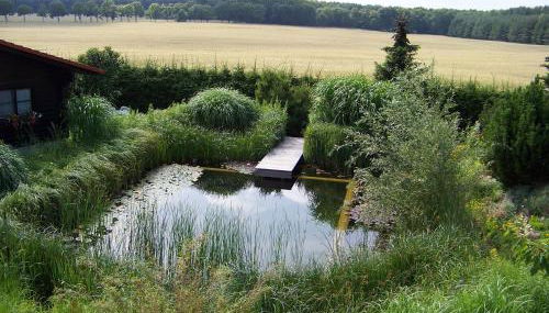 Ferienhaus Hohenlubast - Foto 3