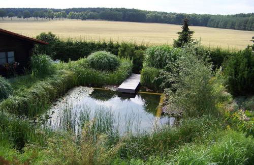 Ferienhaus Hohenlubast - Foto 3